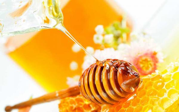 مراکز عرضه عسل خالص چهل گیاه