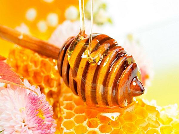 منظور از عسل جنگلی چیست؟