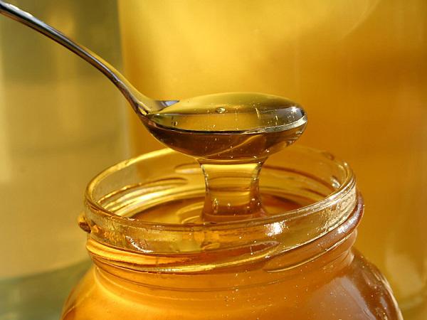 توزیع عسل جنگلی مرغوب