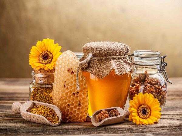 عرضه کنندگان عسل گون طبیعی